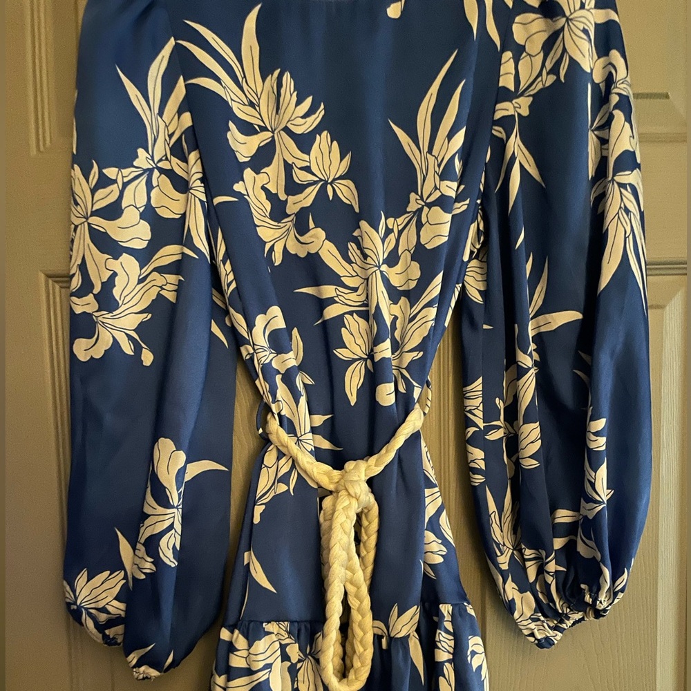 Alexis Blue Floral Mini Shift Dress